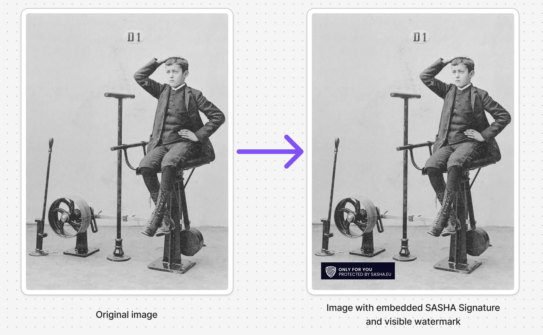 Protected image