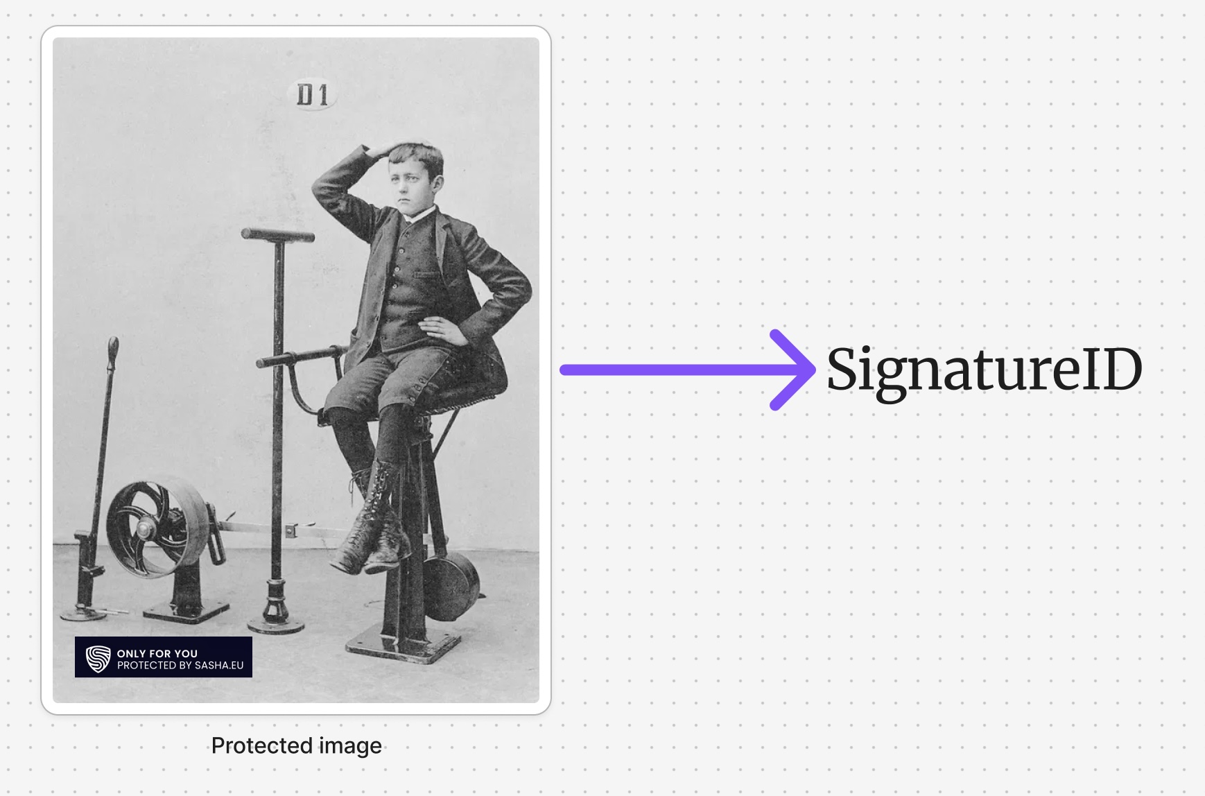 Protected image